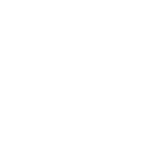 Customer Service